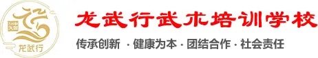 龙武行武术培训学校【官网】Logo