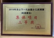 2019年关心下一代全国少儿武搏赛集体项目三等奖