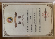 益阳市第四届武术大赛少年乙组梅山拳第一名