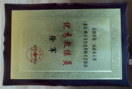 优秀教练员