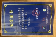 2020年湖南省社会体育指导员交流展示大赛武术类二等奖