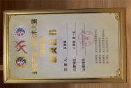 益阳市第三届武术大赛八极拳第一名