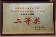 益阳市第二届武术大赛集体项目二等奖