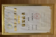 益阳市第三届武术大赛八极拳第一名