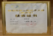 益阳市第三届武术大赛八极拳第一名