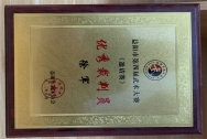 益阳市第四届武术大赛优秀裁判员